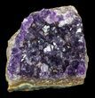 Deep Purple Amethyst Cluster - Uruguay #43158-1